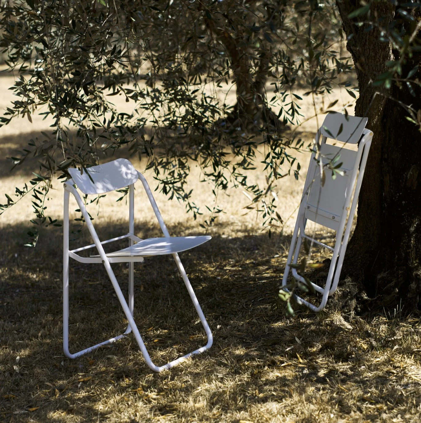 Con.fort Chair by Opinion Ciatti - Image 7